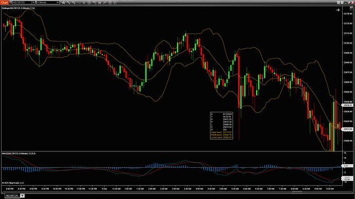 ninjatrader-day-date-on-chart.png